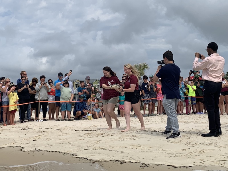 two ladies take a sea turtle to the ocean to be released back into the wild