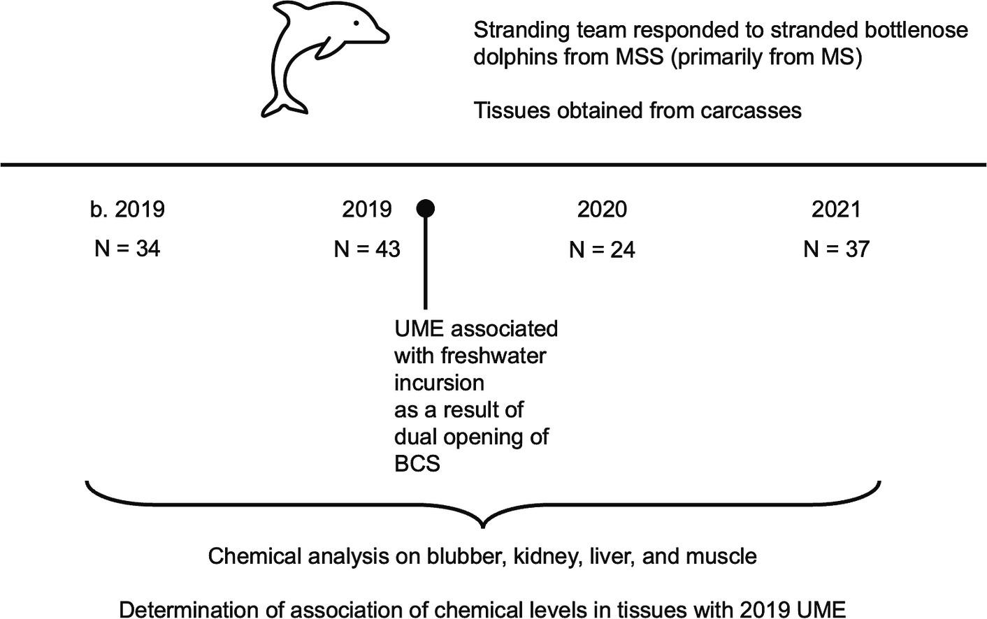 a graph on the stranding team's response to stranded bottlenose dolphins in the Mississippi Sound